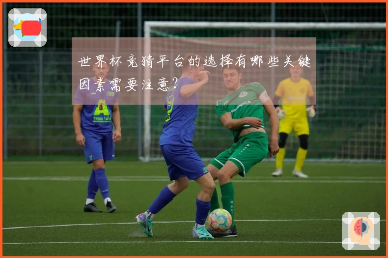 世界杯竞猜平台的选择有哪些关键因素需要注意？