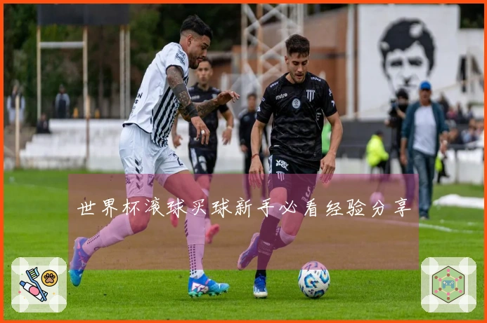 世界杯滚球买球新手必看经验分享
