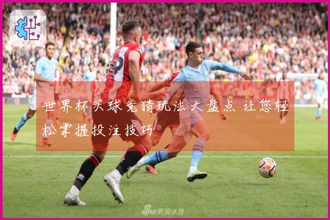 世界杯买球竞猜玩法大盘点 让您轻松掌握投注技巧