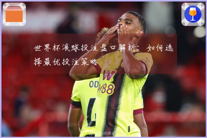世界杯滚球投注盘口解析：如何选择最优投注策略