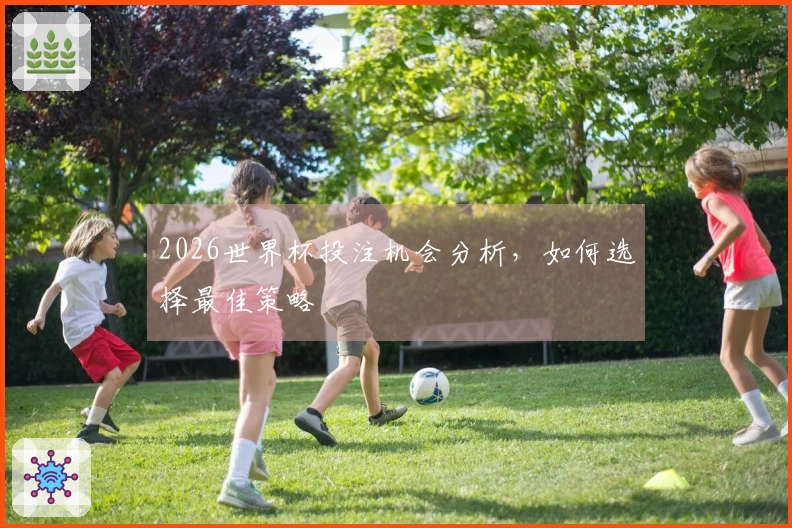 2026世界杯投注机会分析，如何选择最佳策略