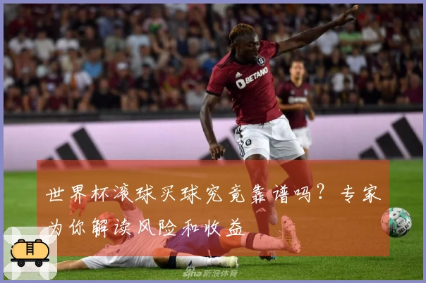 世界杯滚球买球究竟靠谱吗？专家为你解读风险和收益