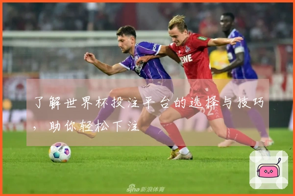 了解世界杯投注平台的选择与技巧，助你轻松下注