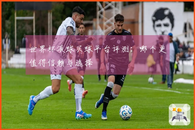 世界杯滚球买球平台评测：哪个更值得信赖与选择