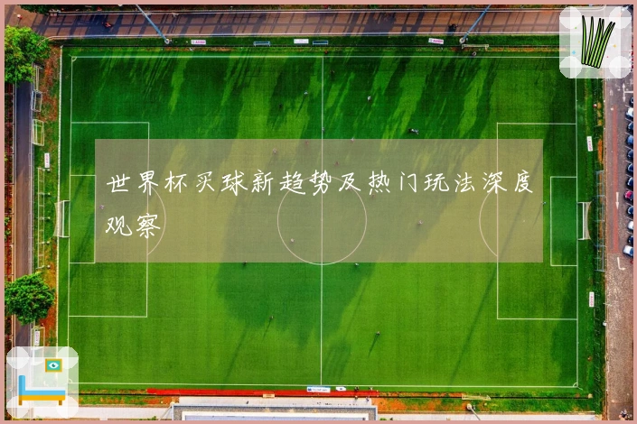 世界杯买球新趋势及热门玩法深度观察