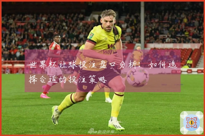 世界杯让球投注盘口分析：如何选择合适的投注策略