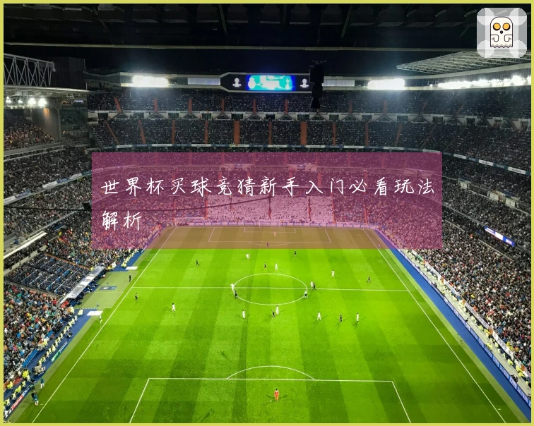 世界杯买球竞猜新手入门必看玩法解析