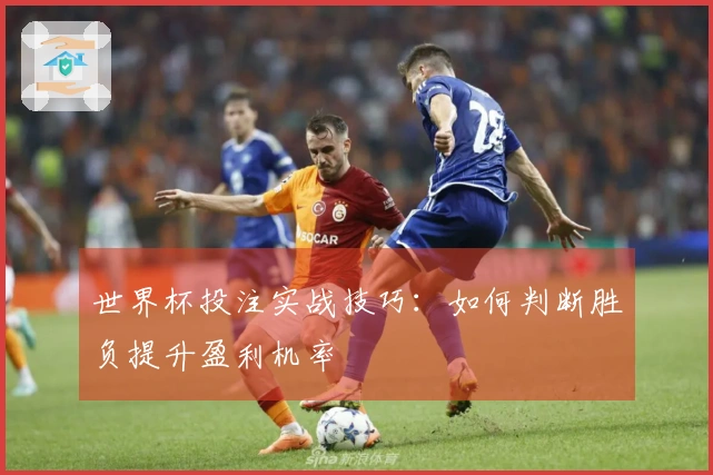 世界杯投注实战技巧：如何判断胜负提升盈利机率