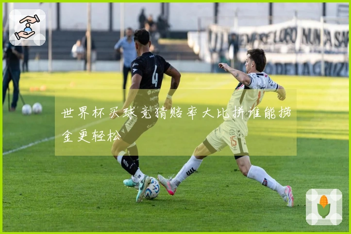 世界杯买球竞猜赔率大比拼谁能捞金更轻松