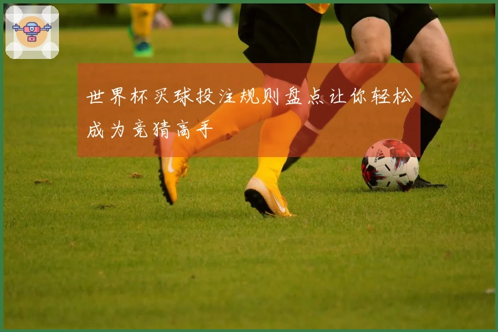 世界杯买球投注规则盘点让你轻松成为竞猜高手