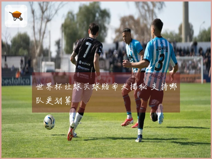 世界杯让球买球赔率大揭秘 支持哪队更划算