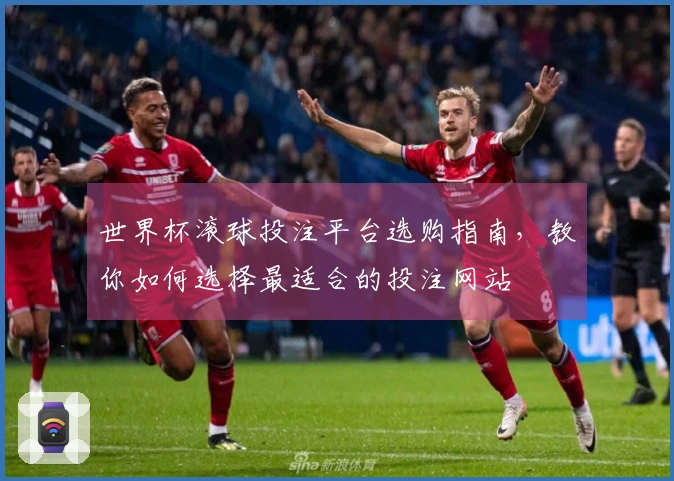 世界杯滚球投注平台选购指南，教你如何选择最适合的投注网站
