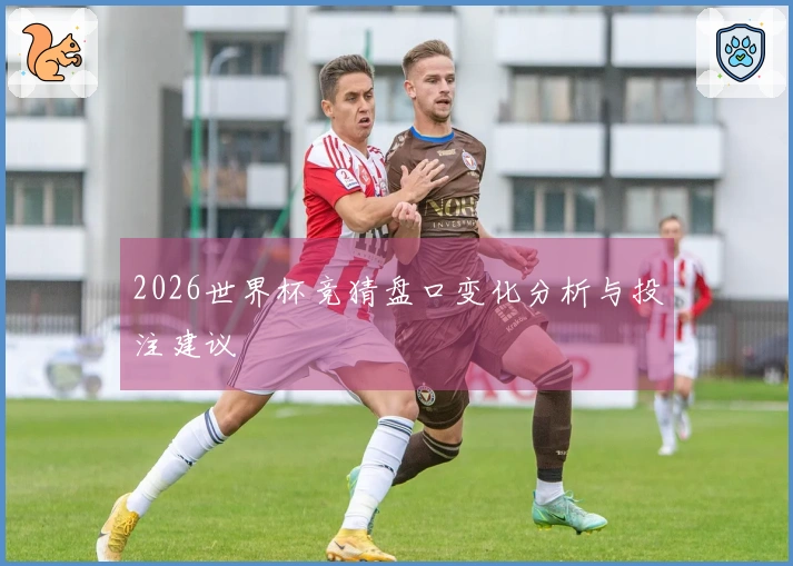 2026世界杯竞猜盘口变化分析与投注建议