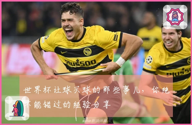 世界杯让球买球的那些事儿，你绝不能错过的经验分享