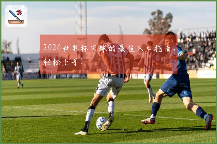 2026世界杯买球的最佳入口指南，轻松上手！