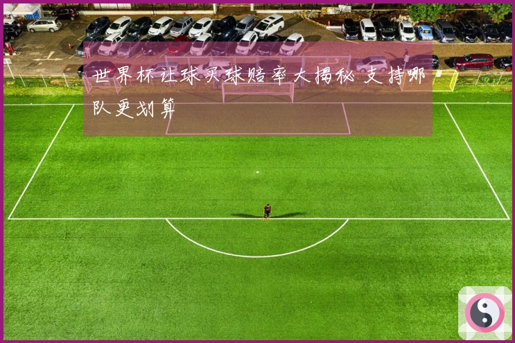 世界杯让球买球赔率大揭秘 支持哪队更划算